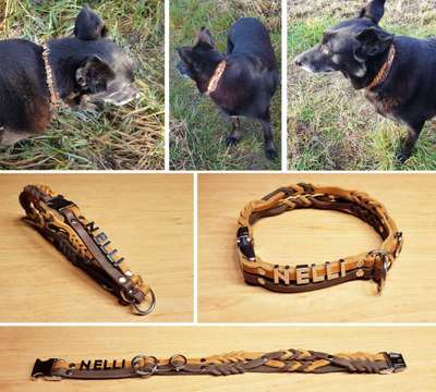 Wer macht Hundehalsbänder selber?-Beitrag-Bild