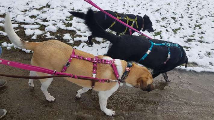 Geschirr Empfehlung-Beitrag-Bild