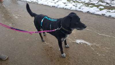 Geschirr Empfehlung-Beitrag-Bild