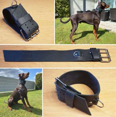 Perfektes Halsband für einen Dobermann?-Beitrag-Bild