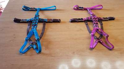 Geschirr Empfehlung-Beitrag-Bild