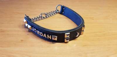 Wer macht Hundehalsbänder selber?-Beitrag-Bild