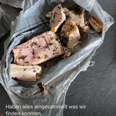 Giftköder-Evtl. Giftköder-Bild