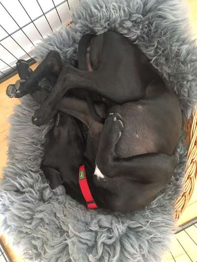 CHALLENGE NR. 34 - Liege-/Schlafpositionen-Beitrag-Bild