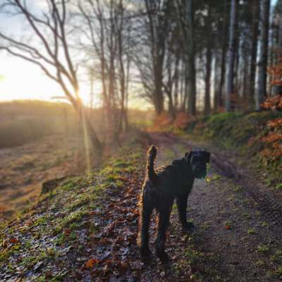 Farben Fotochallenge Sonnenlicht-Beitrag-Bild