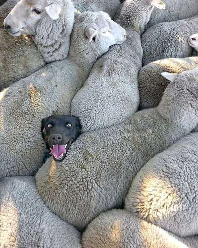 Lieblingsbild-Beitrag-Bild