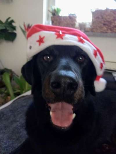 It's beginning to look a lot like.....-Beitrag-Bild