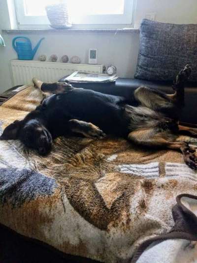 Fotochallenge Nr.65-Beitrag-Bild