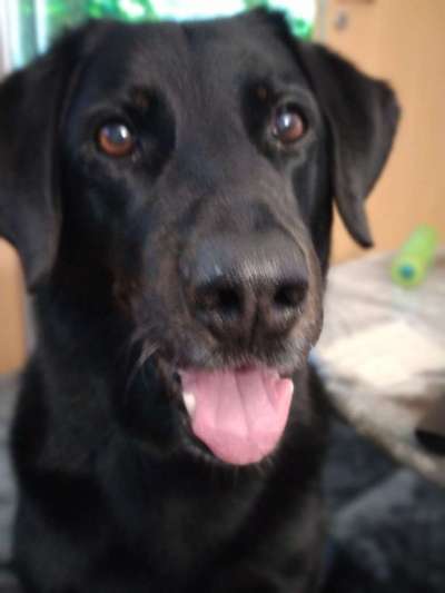 Fotochallange Nr. 57     PORTRÄT.   Beendet!!!!!!!!-Beitrag-Bild