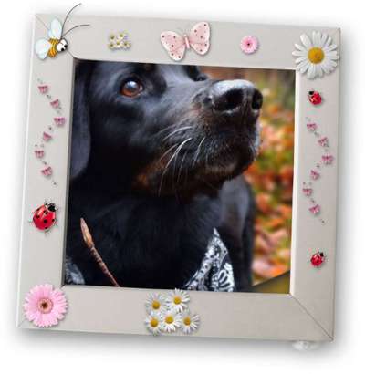 Fotochallenge Nr. 67: Euer Lieblingsbild-Beitrag-Bild