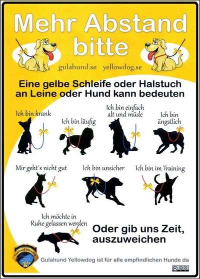 Alter hund-Beitrag-Bild