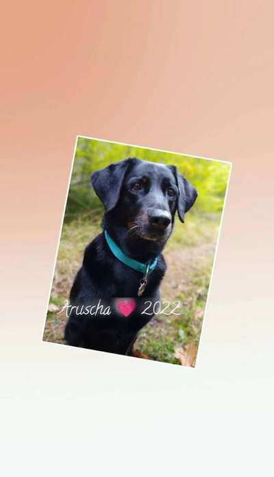 Lieblings Fotos-Beitrag-Bild