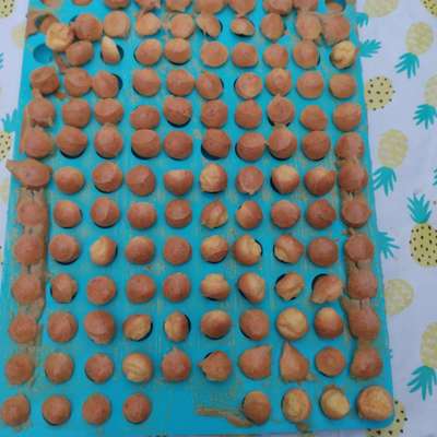 Heute gibt es.....der "ich mach die Leckerlis-Selber-Thread"-Beitrag-Bild