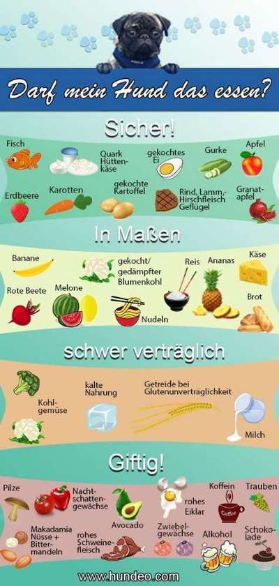 Obst und Gemüse-Beitrag-Bild