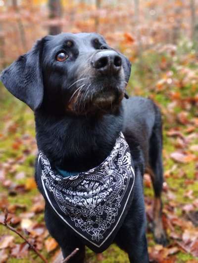 Fotochallenge Nr. 56 - geliebte Senioren-Beitrag-Bild