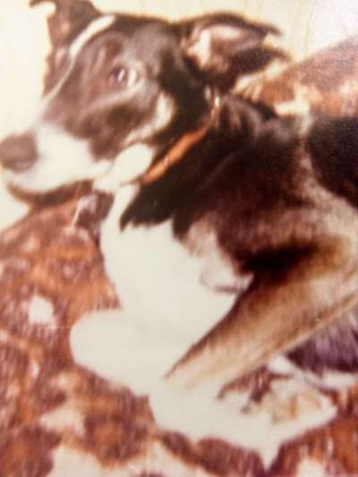 Fotochallenge Nr. 56 - geliebte Senioren-Beitrag-Bild