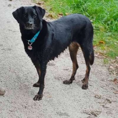 zeigt mal eure schönsten Fotos von euren Lieblingen.-Beitrag-Bild