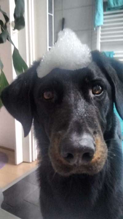 Fotochallange Nr. 57     PORTRÄT.   Beendet!!!!!!!!-Beitrag-Bild