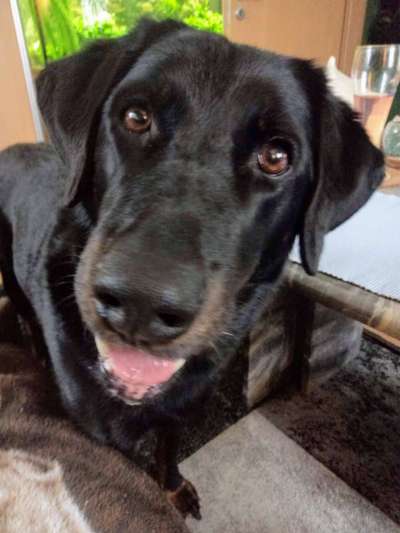 Hier ist der Spaßthread. Zum Schmunzeln und Kaputtlachen-Beitrag-Bild