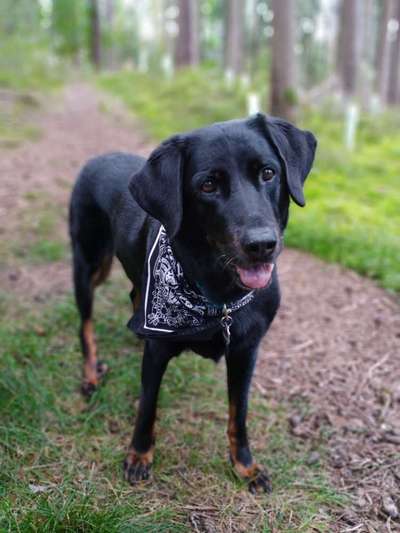 Lieblingsbild :D-Beitrag-Bild