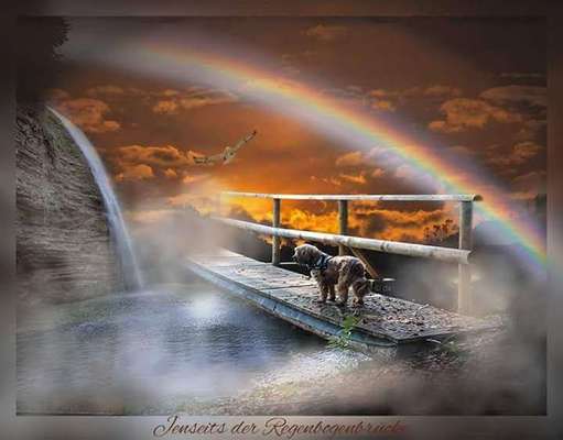 Lieblingsbild-Beitrag-Bild