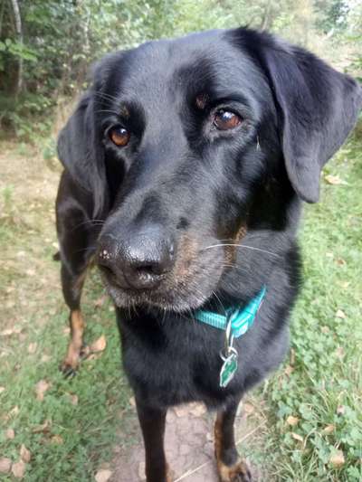 Zeigt her eure Kolosse!-Beitrag-Bild