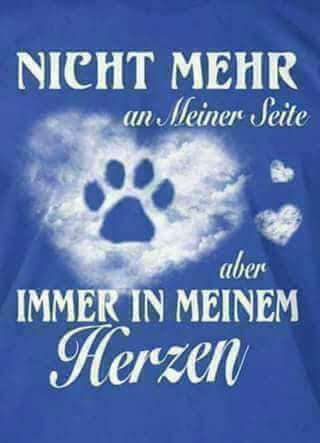 Fotochallenge Nr. 56 - geliebte Senioren-Beitrag-Bild