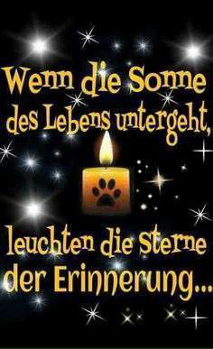 Lieblingsbild-Beitrag-Bild