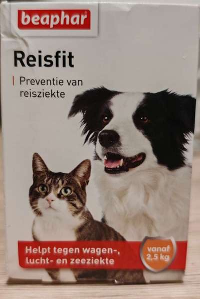 Reisekrankheit-Beitrag-Bild