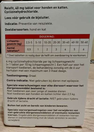 Reisekrankheit-Beitrag-Bild