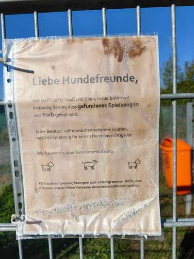 Hundeauslaufgebiet-Hundewiese am Tennisplatz-Bild