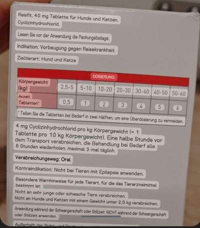 Reisekrankheit-Beitrag-Bild