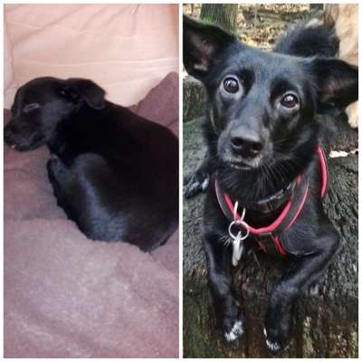 Vorher.... Nachher-Beitrag-Bild