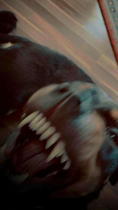 Un...scharf Bilder-Beitrag-Bild