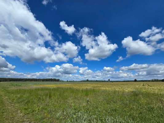 Was hat euch heute gefreut?-Beitrag-Bild