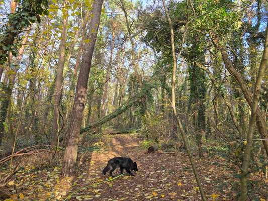 Was hat euch heute gefreut?-Beitrag-Bild