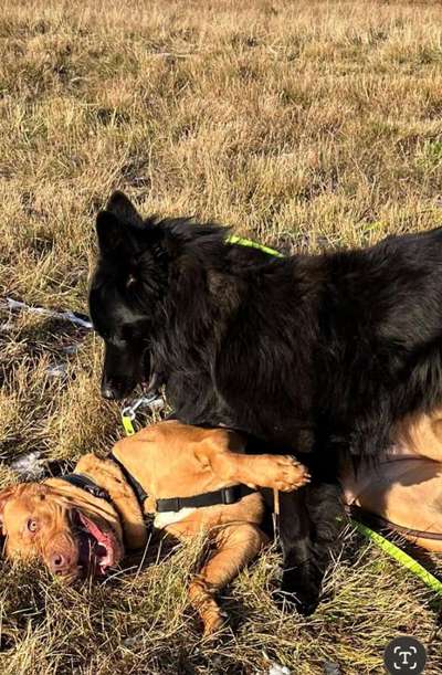 Was hat euch heute gefreut?-Beitrag-Bild