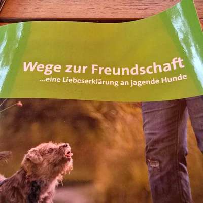 Was hat euch heute gefreut?-Beitrag-Bild