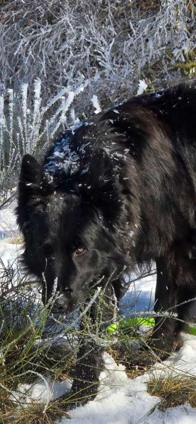 Anpassen bei Minusgraden-Beitrag-Bild