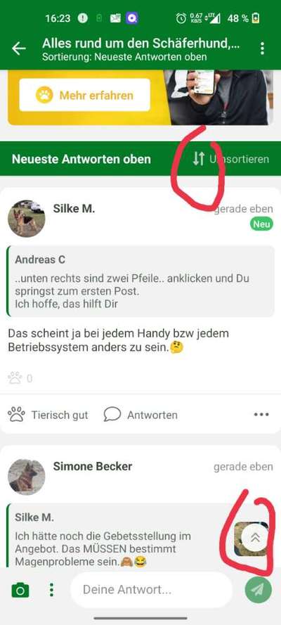 Alles rund um den Schäferhund, diskutieren erwünscht.-Beitrag-Bild