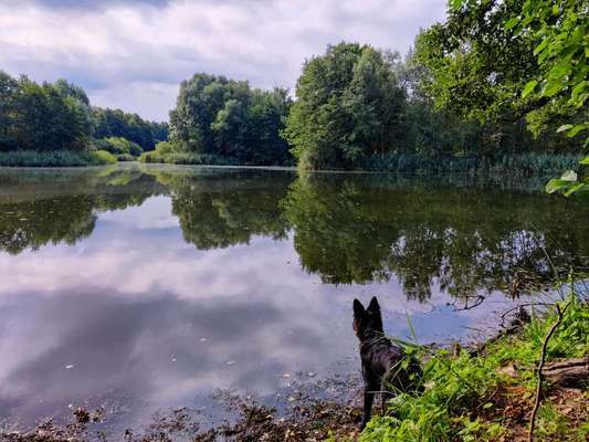 Theos  Fotochallenge Nummer 2-Beitrag-Bild