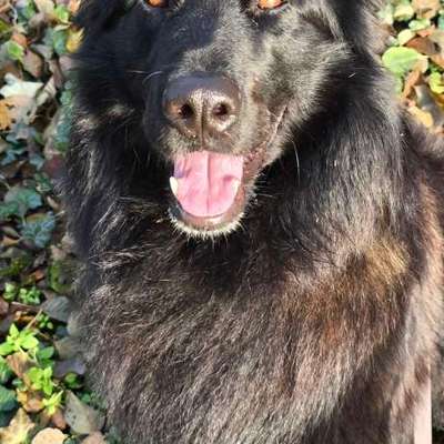 Was hat euch heute gefreut?-Beitrag-Bild