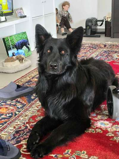 Was hat euch heute gefreut?-Beitrag-Bild