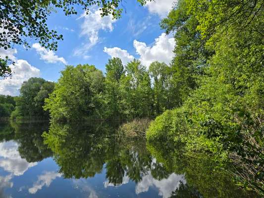 Was hat euch heute gefreut?-Beitrag-Bild