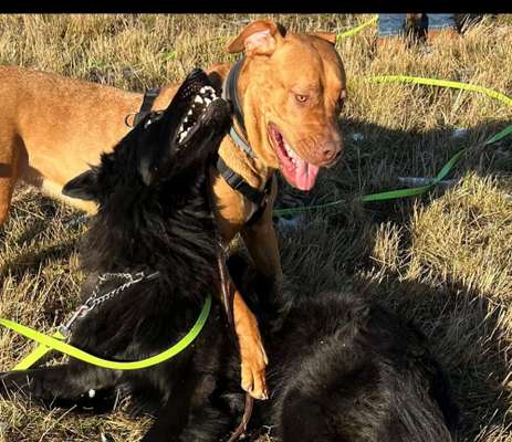 Was hat euch heute gefreut?-Beitrag-Bild