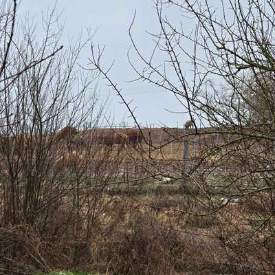 Was hat euch heute gefreut?-Beitrag-Bild