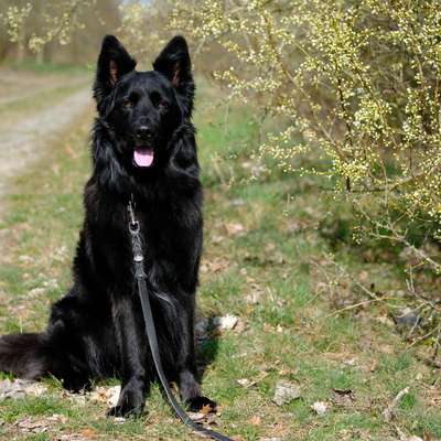 Was hat euch heute gefreut?-Beitrag-Bild