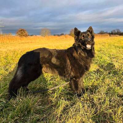 Was hat euch heute gefreut?-Beitrag-Bild