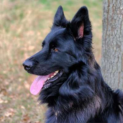 Was hat euch heute gefreut?-Beitrag-Bild