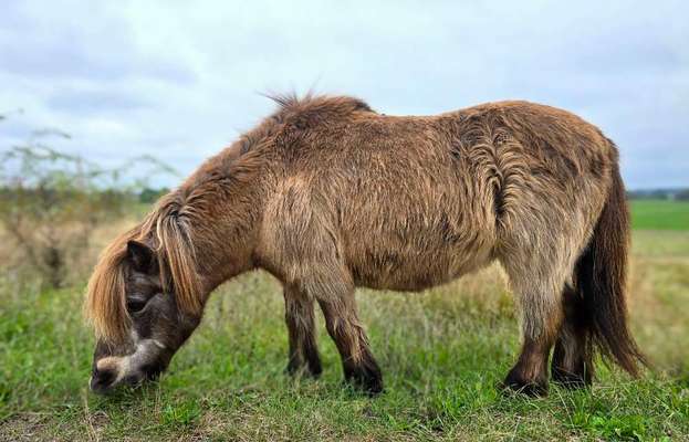 Was hat euch heute gefreut?-Beitrag-Bild